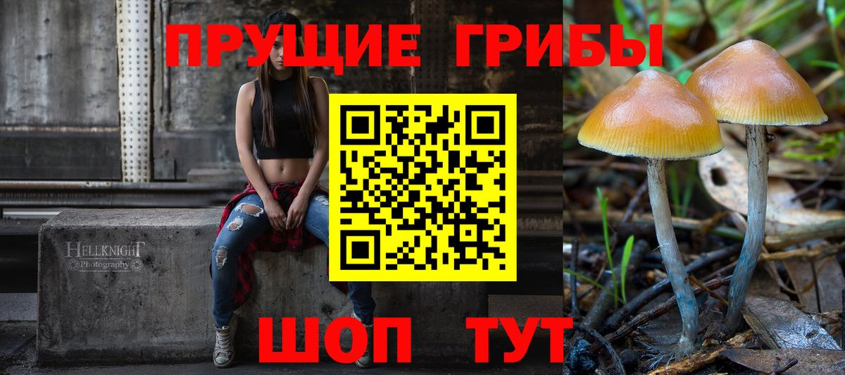 Галлюциногенные грибы ЛСД  Вход с VPN  Горячий Ключ  Галлюциногенные грибы Psilocybe 